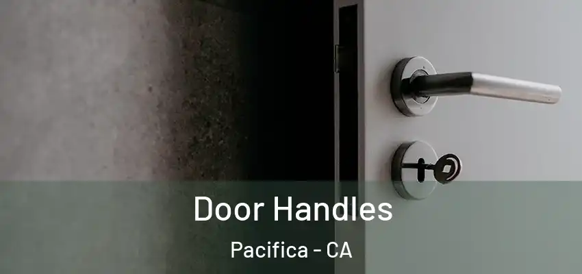  Door Handles Pacifica - CA