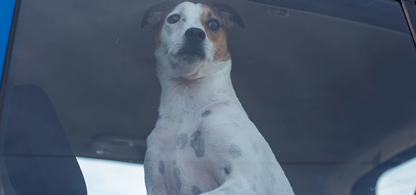 Car Lockout Solutions in Pacifica, California